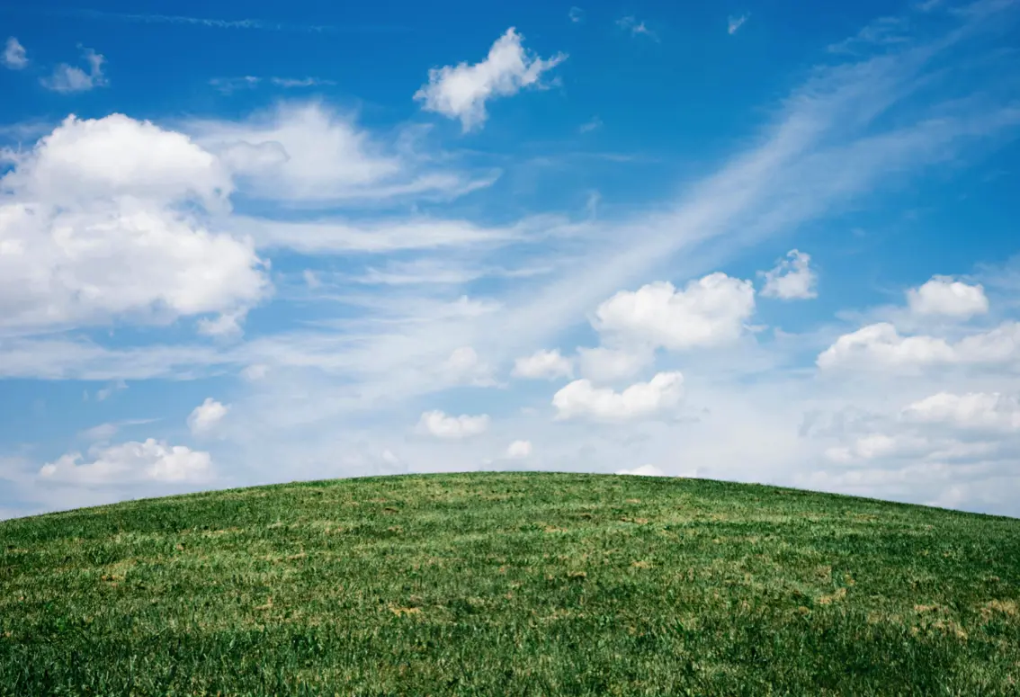Gestione dei Parchi e Aree Verdi